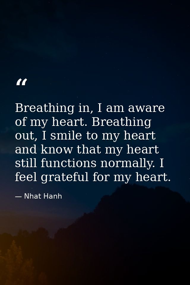 Breathing in, I am aware of my heart. Breathing out, I smile to my heart and know that my heart still functions normally — Nhat Hanh