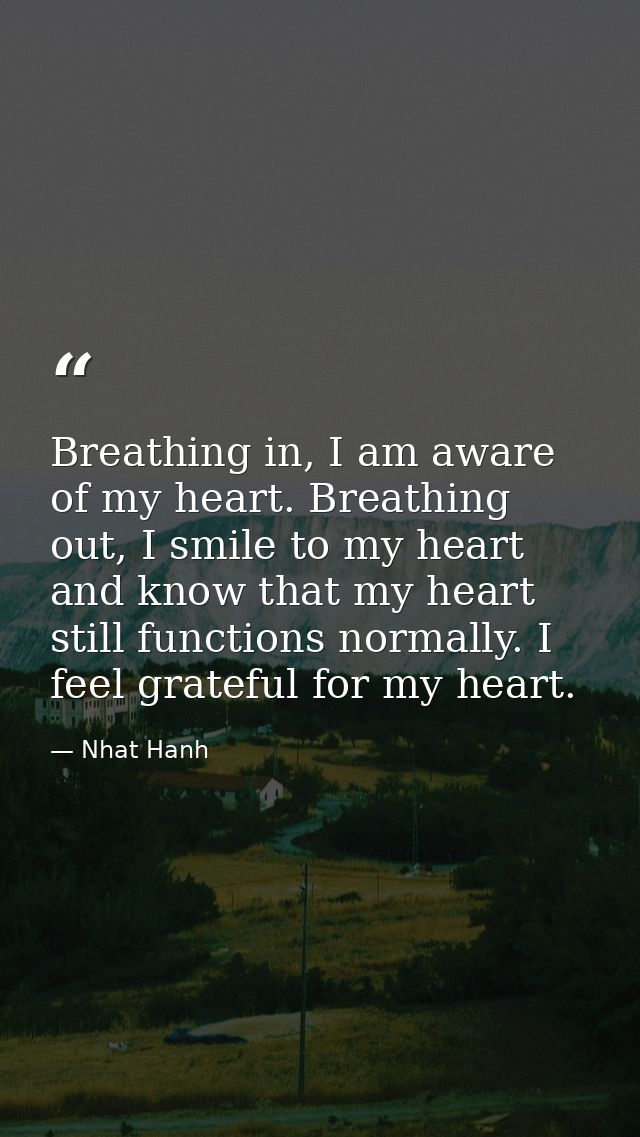 Breathing in, I am aware of my heart. Breathing out, I smile to my heart and know that my heart still functions normally — Nhat Hanh