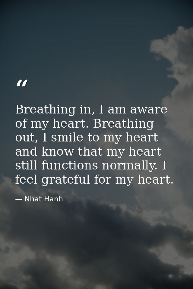 Breathing in, I am aware of my heart. Breathing out, I smile to my heart and know that my heart still functions normally — Nhat Hanh