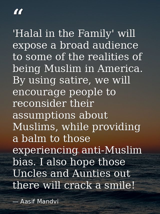 'Halal in the Family' will expose a broad audience to some of the realities of being Muslim in America. By using satire, — Aasif Mandvi