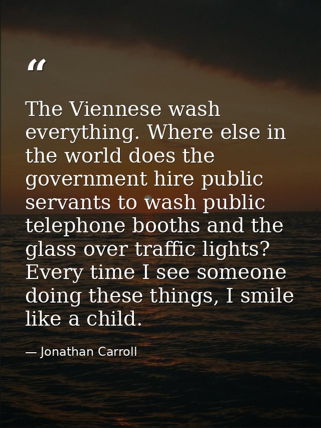 The Viennese wash everything. Where else in the world does the government hire public servants to wash public telephone  — Jonathan Carroll