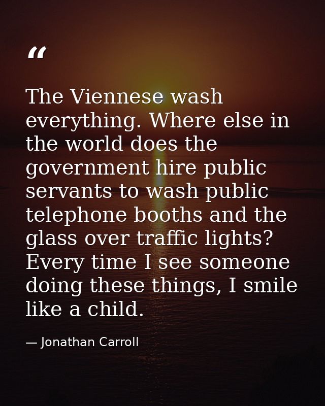 The Viennese wash everything. Where else in the world does the government hire public servants to wash public telephone  — Jonathan Carroll
