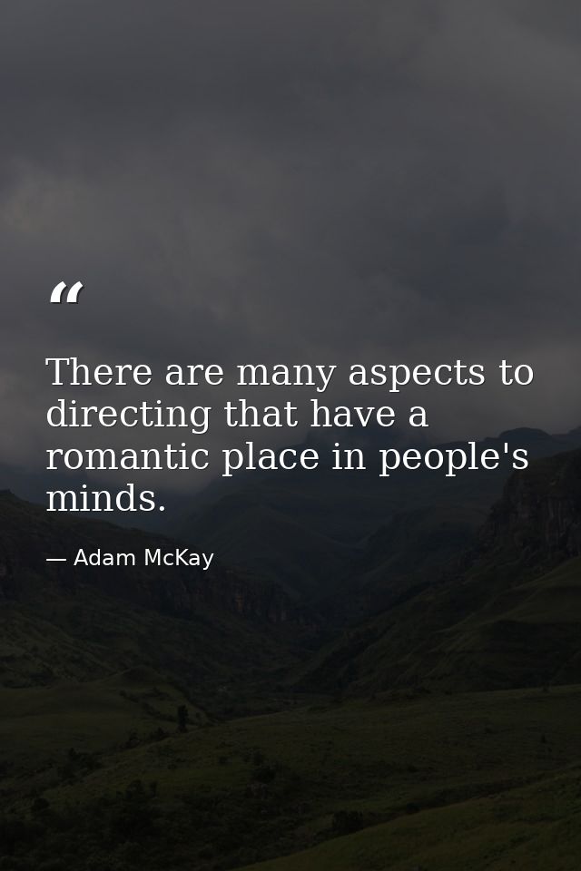 There are many aspects to directing that have a romantic place in people's minds. — Adam McKay