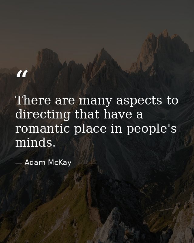 There are many aspects to directing that have a romantic place in people's minds. — Adam McKay