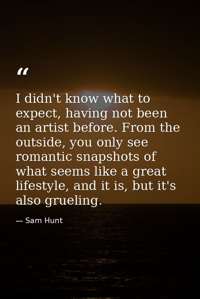 I didn't know what to expect, having not been an artist before. From the outside, you only see romantic snapshots of wha — Sam Hunt
