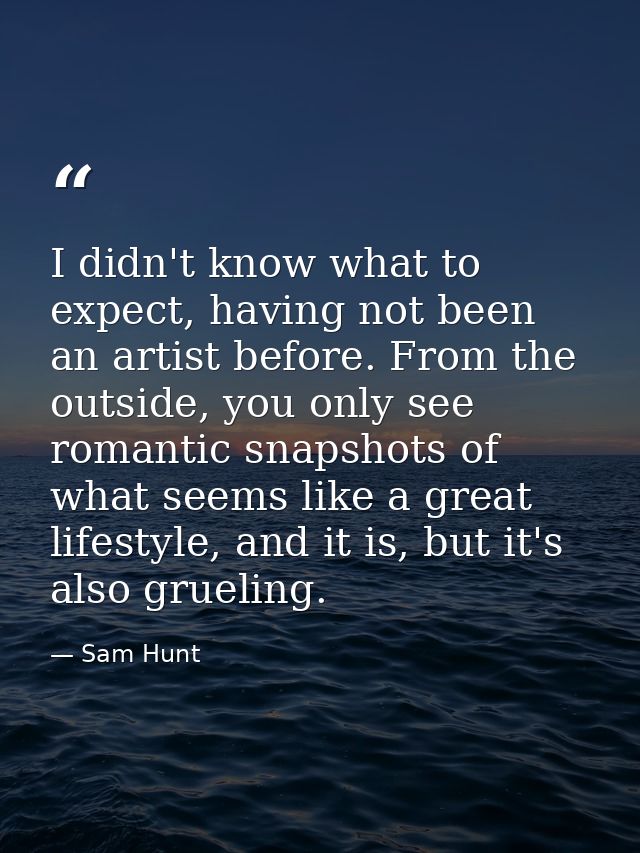 I didn't know what to expect, having not been an artist before. From the outside, you only see romantic snapshots of wha — Sam Hunt