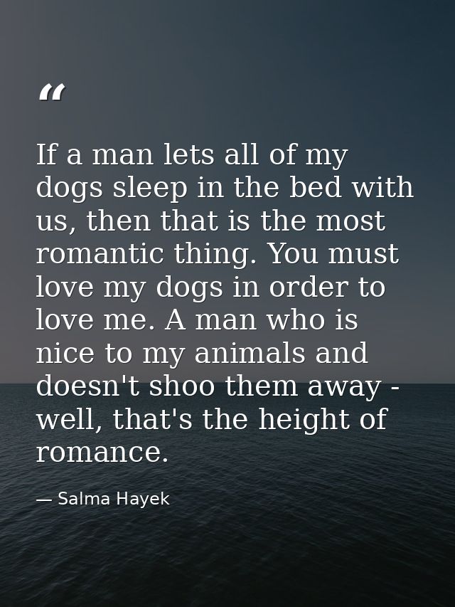 If a man lets all of my dogs sleep in the bed with us, then that is the most romantic thing. You must love my dogs in or — Salma Hayek