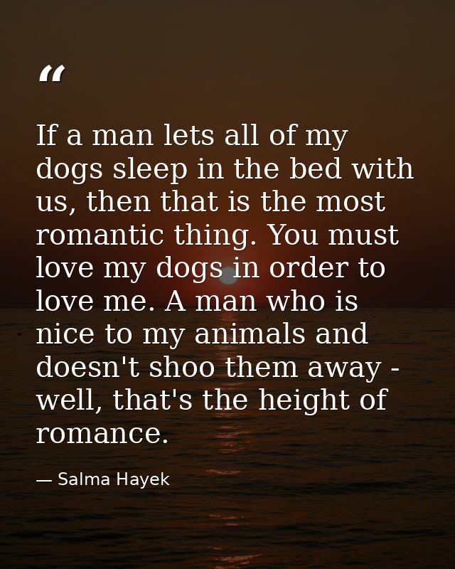 If a man lets all of my dogs sleep in the bed with us, then that is the most romantic thing. You must love my dogs in or — Salma Hayek