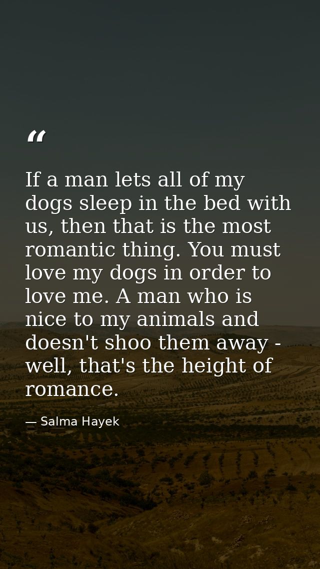 If a man lets all of my dogs sleep in the bed with us, then that is the most romantic thing. You must love my dogs in or — Salma Hayek