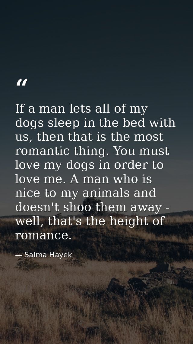 If a man lets all of my dogs sleep in the bed with us, then that is the most romantic thing. You must love my dogs in or — Salma Hayek