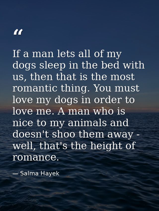 If a man lets all of my dogs sleep in the bed with us, then that is the most romantic thing. You must love my dogs in or — Salma Hayek