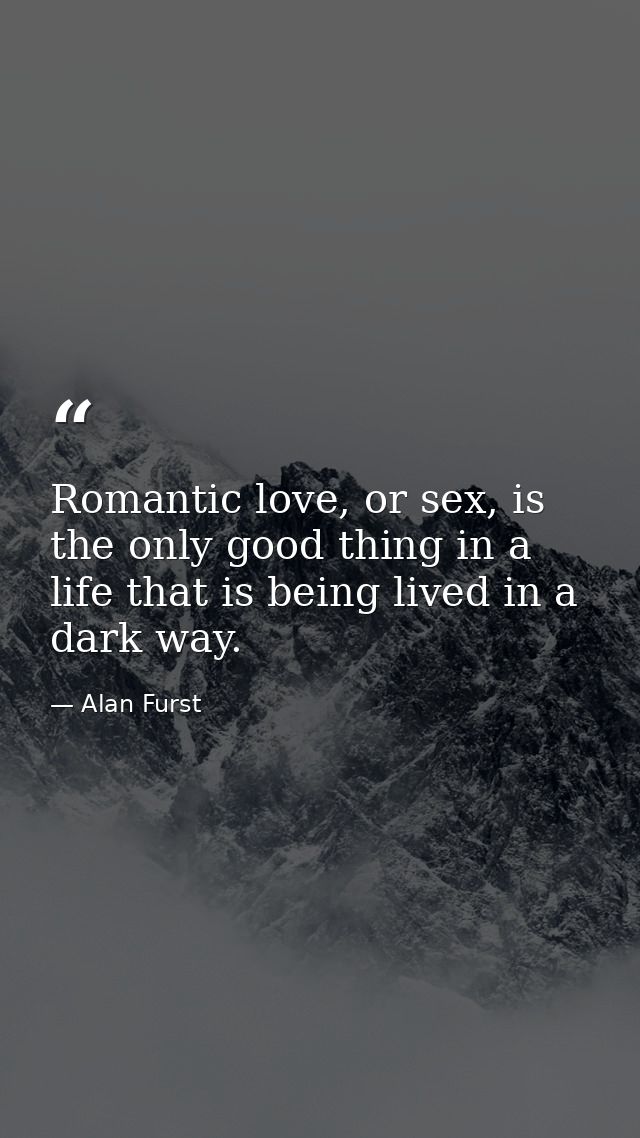 Romantic love, or sex, is the only good thing in a life that is being lived in a dark way. — Alan Furst