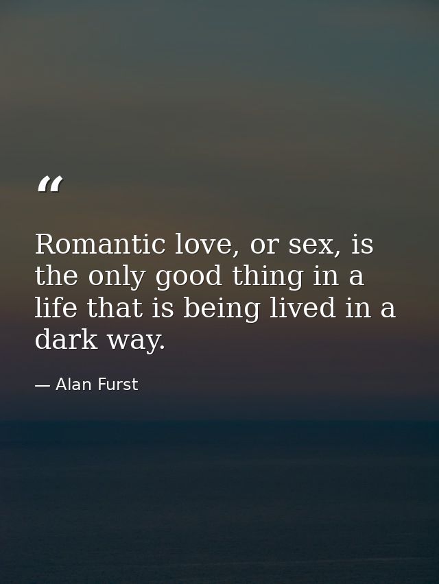 Romantic love, or sex, is the only good thing in a life that is being lived in a dark way. — Alan Furst