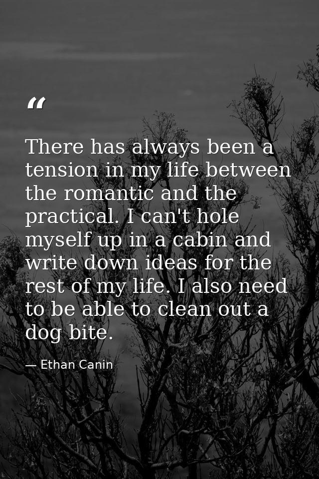 There has always been a tension in my life between the romantic and the practical. I can't hole myself up in a cabin and — Ethan Canin