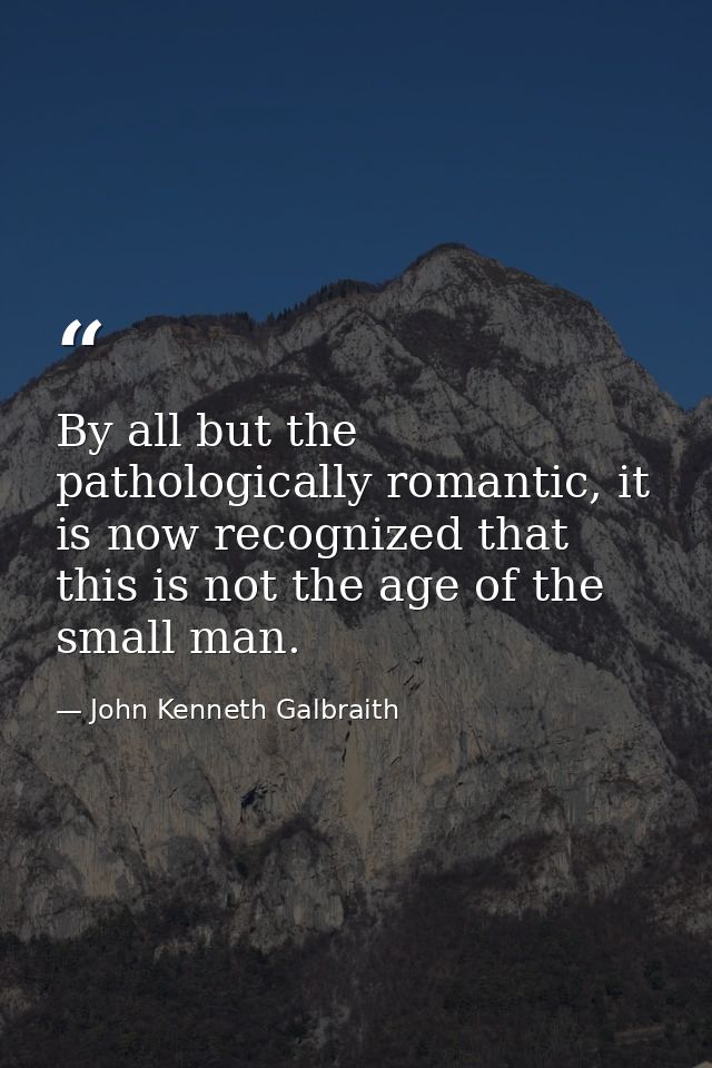 By all but the pathologically romantic, it is now recognized that this is not the age of the small man. — John Kenneth Galbraith