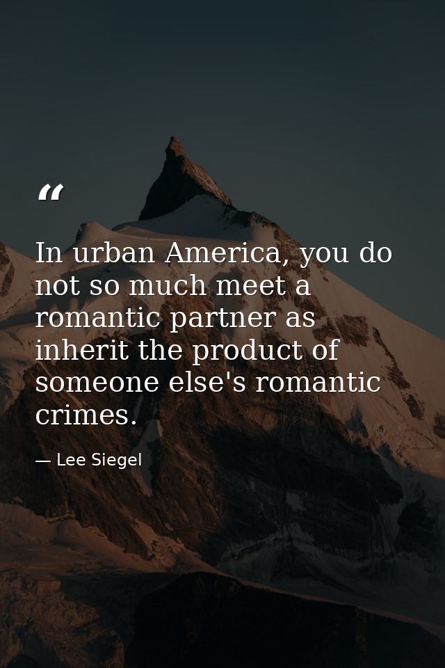 In urban America, you do not so much meet a romantic partner as inherit the product of someone else's romantic crimes. — Lee Siegel