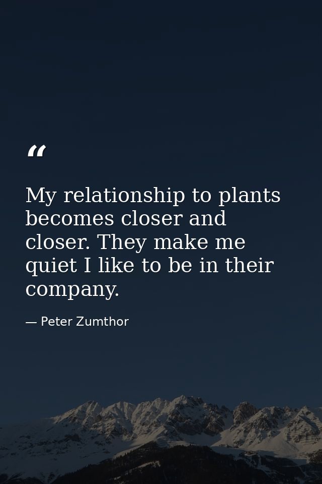 My relationship to plants becomes closer and closer. They make me quiet I like to be in their company. — Peter Zumthor