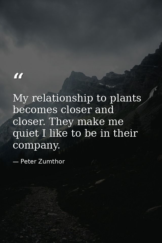My relationship to plants becomes closer and closer. They make me quiet I like to be in their company. — Peter Zumthor