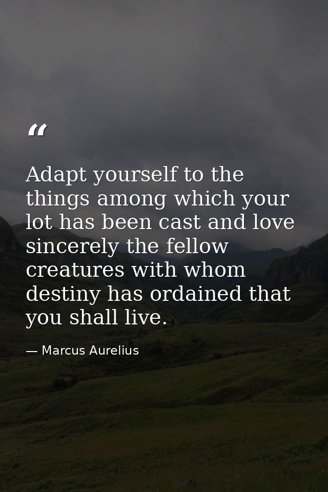 Adapt yourself to the things among which your lot has been cast and love sincerely the fellow creatures with whom destin — Marcus Aurelius