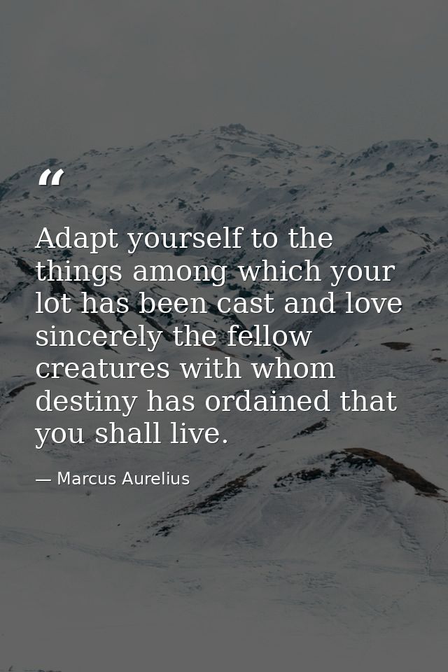 Adapt yourself to the things among which your lot has been cast and love sincerely the fellow creatures with whom destin — Marcus Aurelius