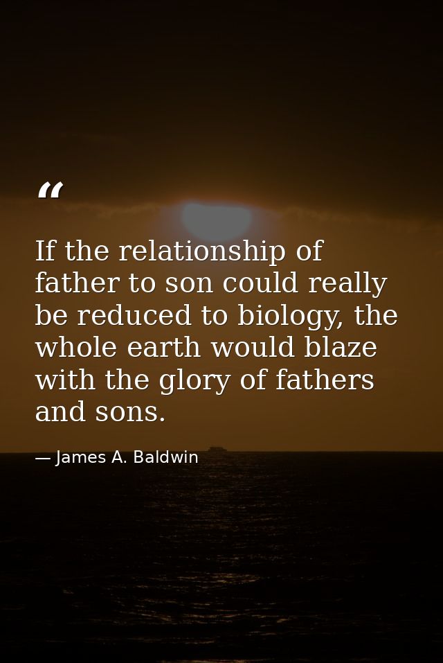 If the relationship of father to son could really be reduced to biology, the whole earth would blaze with the glory of f — James A. Baldwin