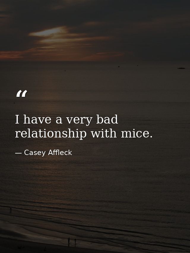 I have a very bad relationship with mice. — Casey Affleck