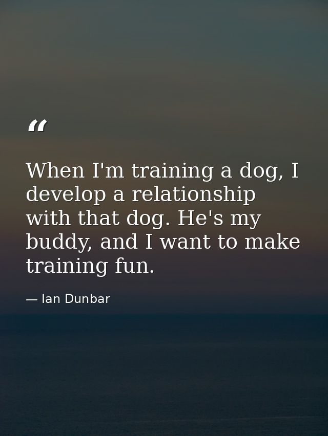 When I'm training a dog, I develop a relationship with that dog. He's my buddy, and I want to make training fun. — Ian Dunbar