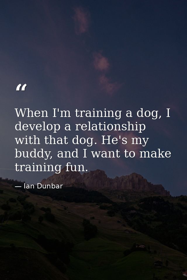 When I'm training a dog, I develop a relationship with that dog. He's my buddy, and I want to make training fun. — Ian Dunbar