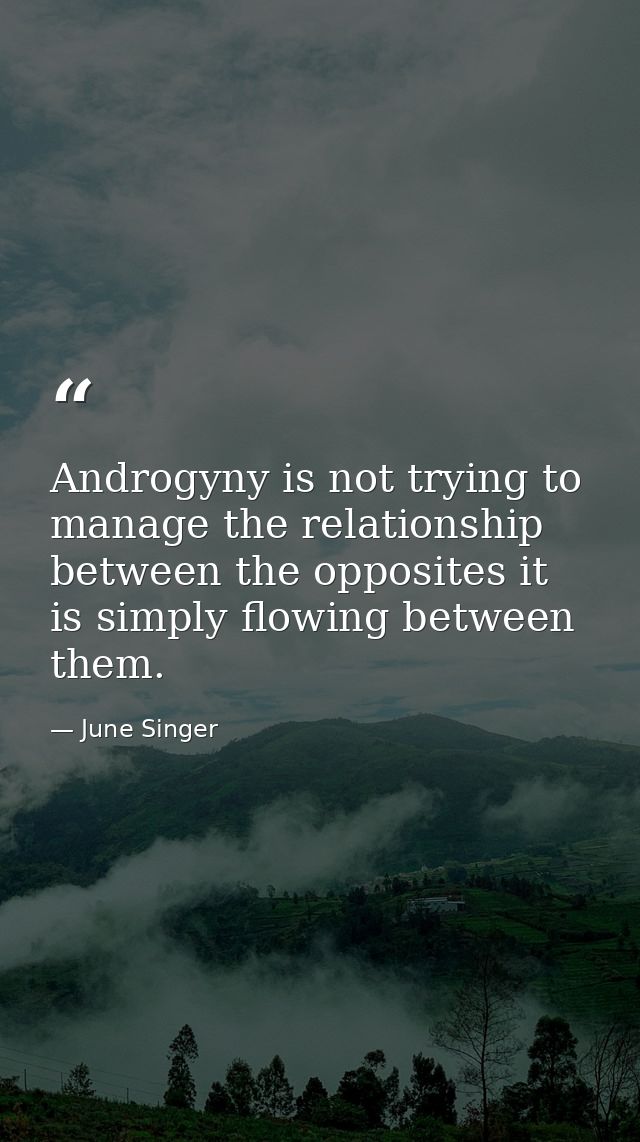 Androgyny is not trying to manage the relationship between the opposites it is simply flowing between them. — June Singer