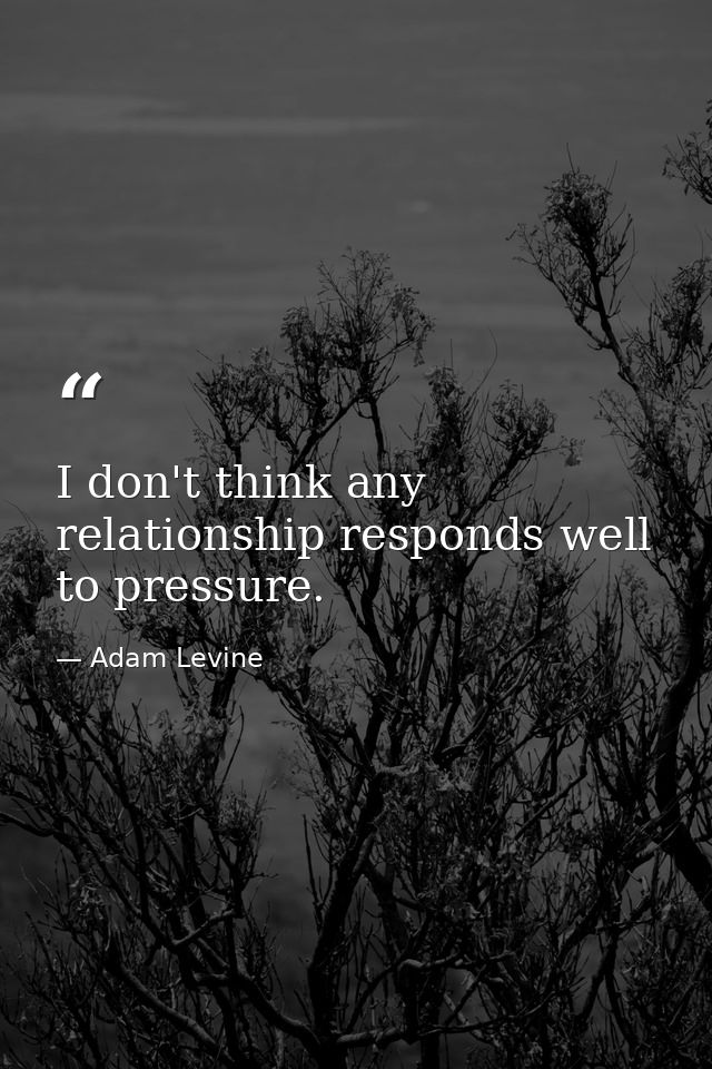 I don't think any relationship responds well to pressure. — Adam Levine