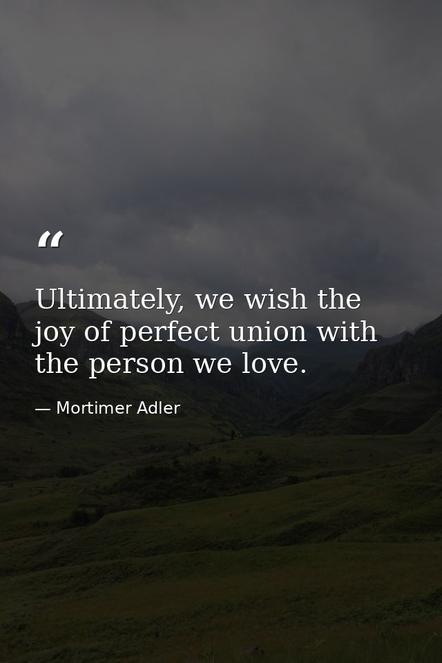Ultimately, we wish the joy of perfect union with the person we love. — Mortimer Adler