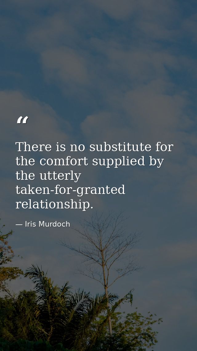 There is no substitute for the comfort supplied by the utterly taken-for-granted relationship. — Iris Murdoch