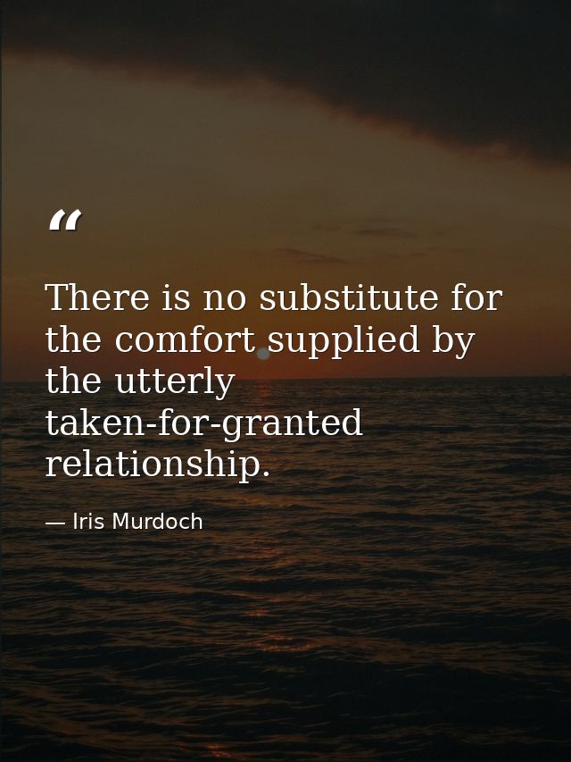 There is no substitute for the comfort supplied by the utterly taken-for-granted relationship. — Iris Murdoch