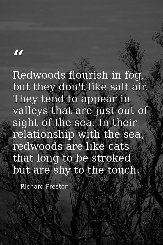 Redwoods flourish in fog, but they don't like salt air. They tend to appear in valleys that are just out of sight of the — Richard Preston
