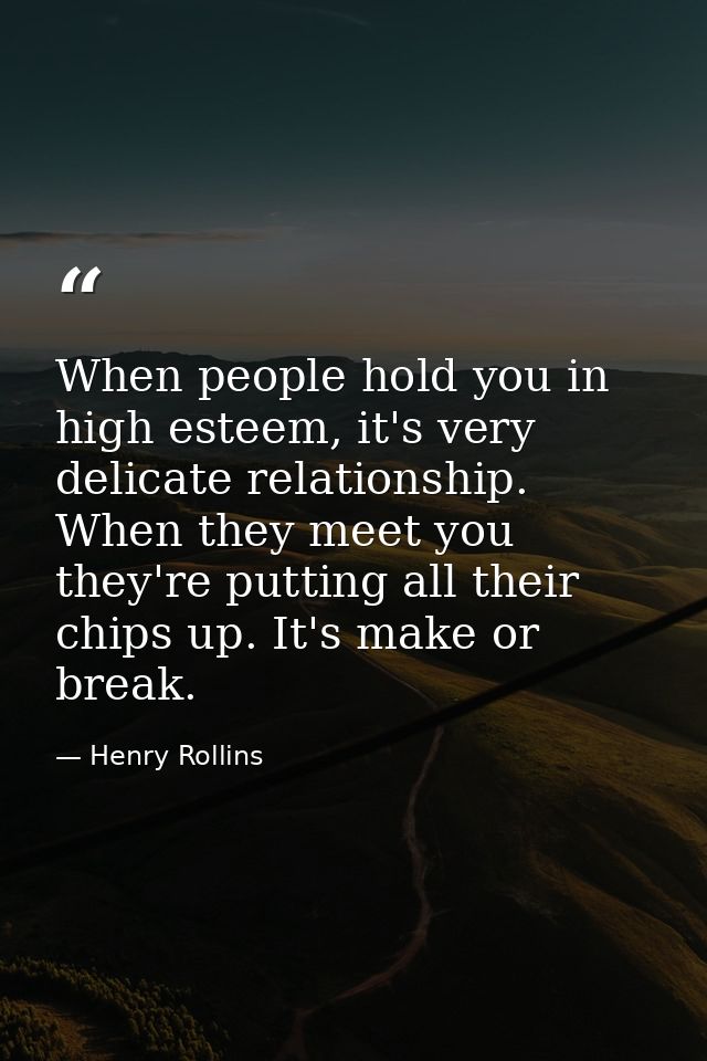 When people hold you in high esteem, it's very delicate relationship. When they meet you they're putting all their chips — Henry Rollins