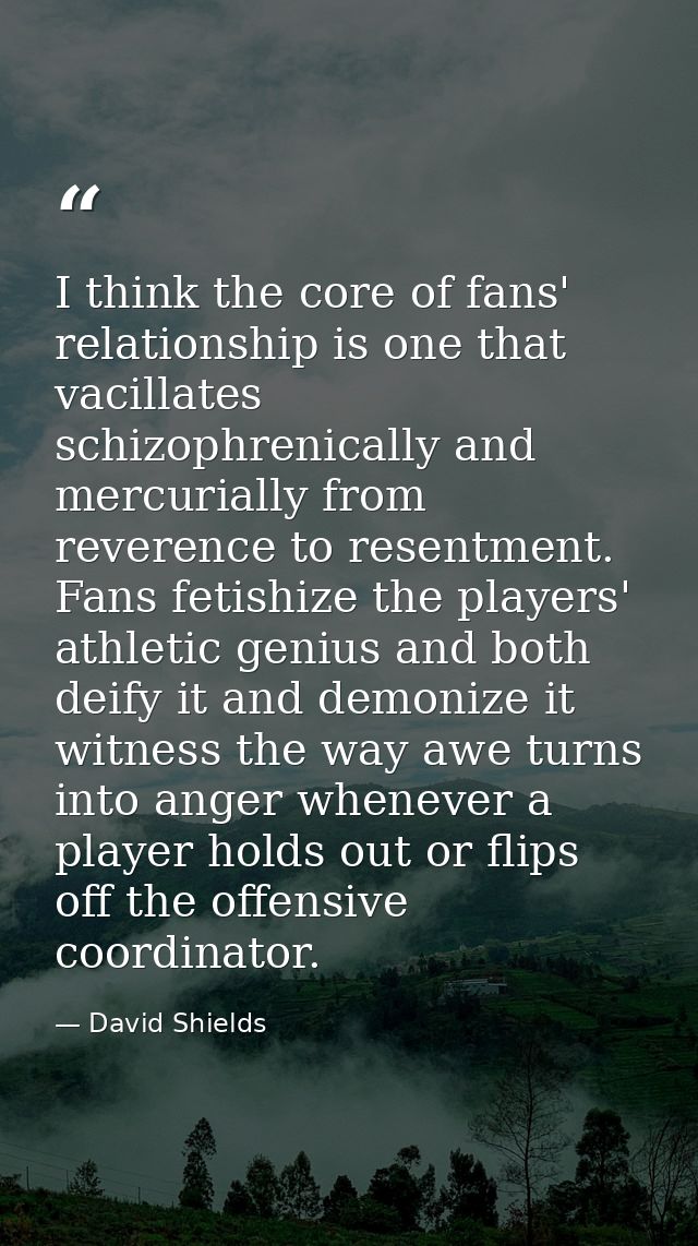 I think the core of fans' relationship is one that vacillates schizophrenically and mercurially from reverence to resent — David Shields