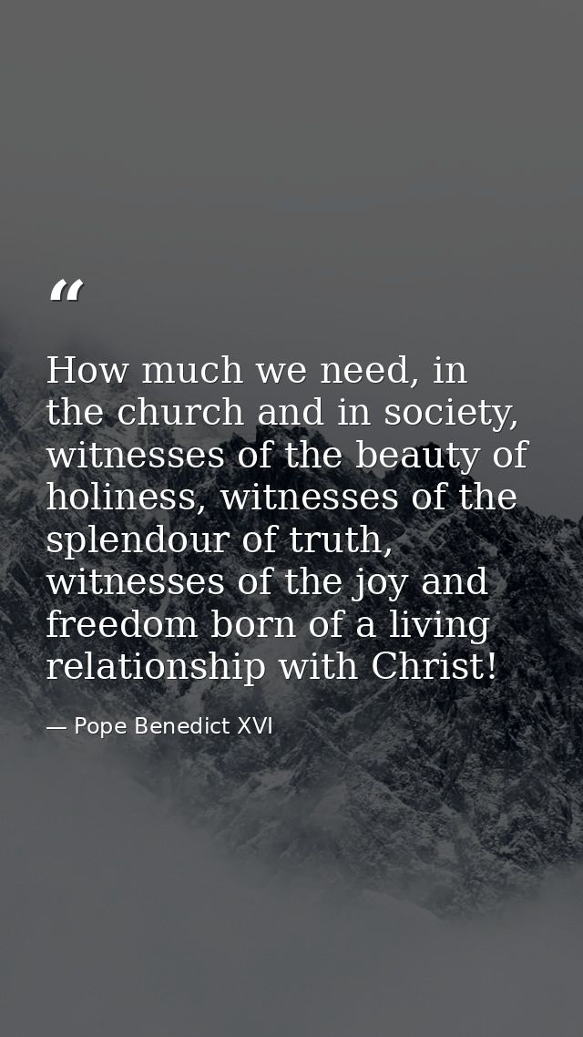 How much we need, in the church and in society, witnesses of the beauty of holiness, witnesses of the splendour of truth — Pope Benedict XVI