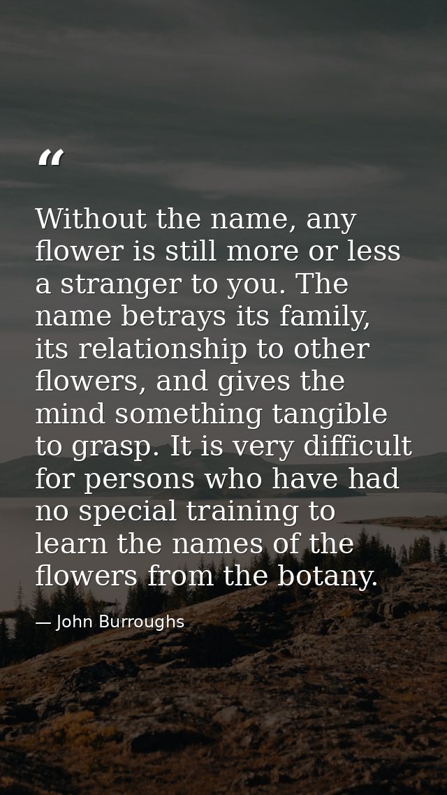 Without the name, any flower is still more or less a stranger to you. The name betrays its family, its relationship to o — John Burroughs