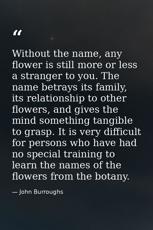 Without the name, any flower is still more or less a stranger to you. The name betrays its family, its relationship to o — John Burroughs