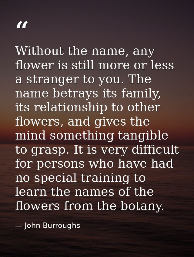Without the name, any flower is still more or less a stranger to you. The name betrays its family, its relationship to o — John Burroughs