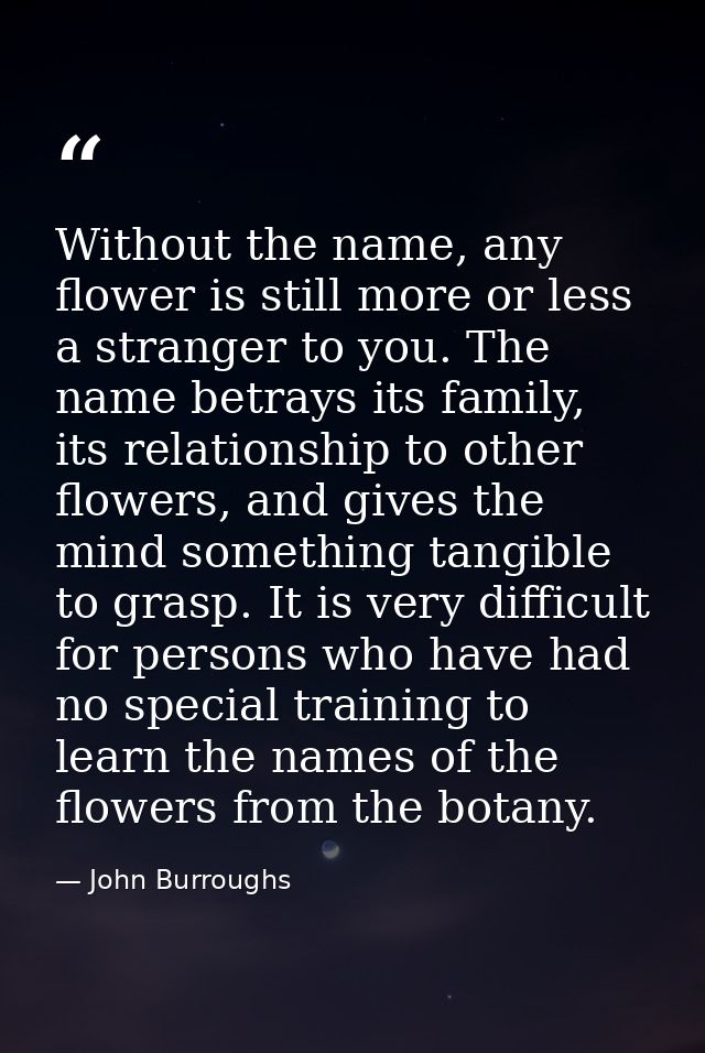 Without the name, any flower is still more or less a stranger to you. The name betrays its family, its relationship to o — John Burroughs