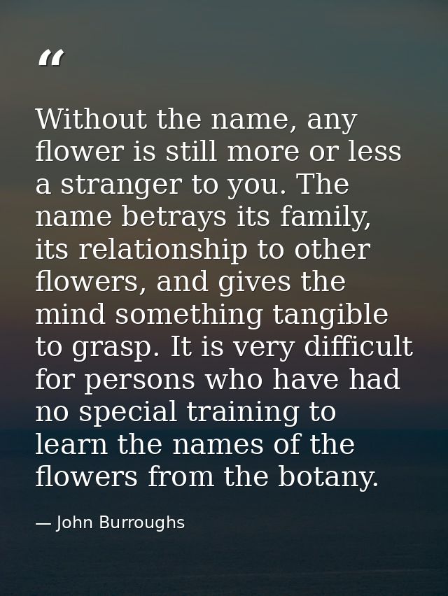 Without the name, any flower is still more or less a stranger to you. The name betrays its family, its relationship to o — John Burroughs