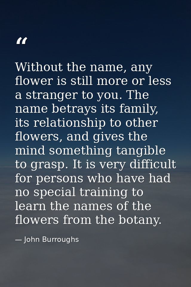 Without the name, any flower is still more or less a stranger to you. The name betrays its family, its relationship to o — John Burroughs