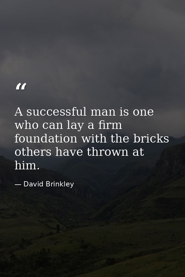 A successful man is one who can lay a firm foundation with the bricks others have thrown at him. — David Brinkley