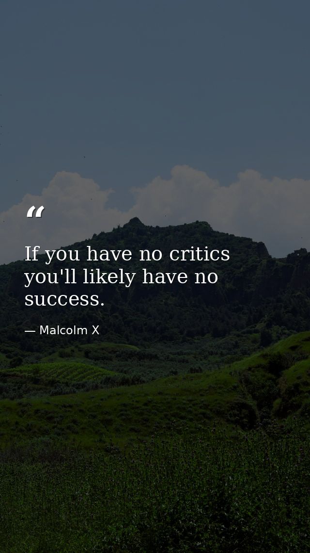 If you have no critics you'll likely have no success. — Malcolm X