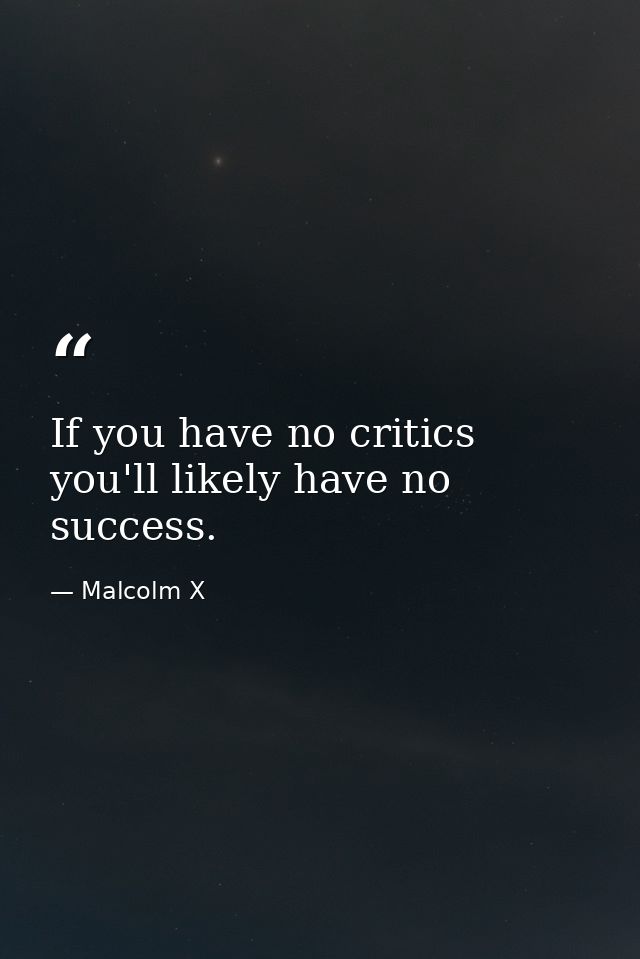 If you have no critics you'll likely have no success. — Malcolm X
