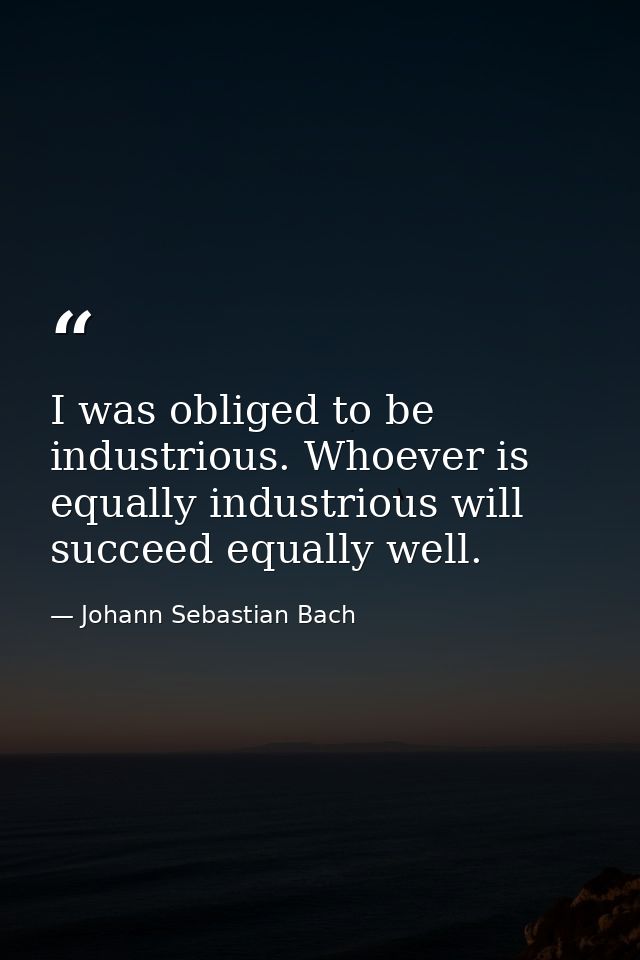 I was obliged to be industrious. Whoever is equally industrious will succeed equally well. — Johann Sebastian Bach