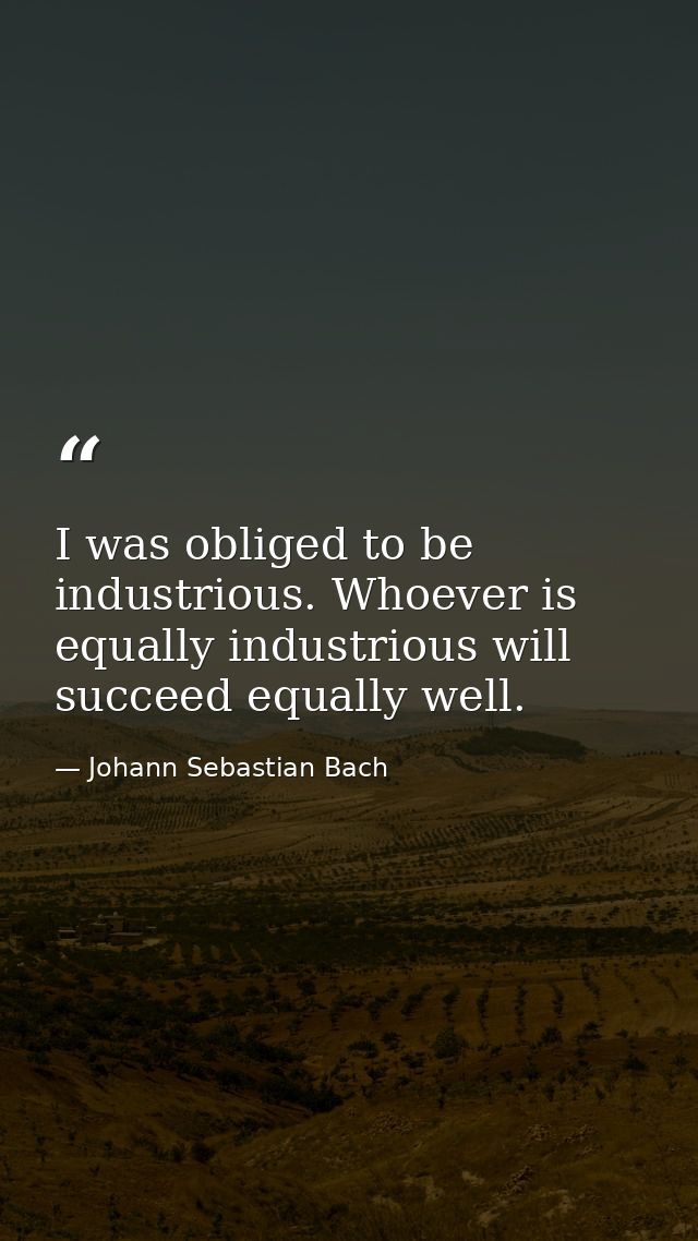I was obliged to be industrious. Whoever is equally industrious will succeed equally well. — Johann Sebastian Bach