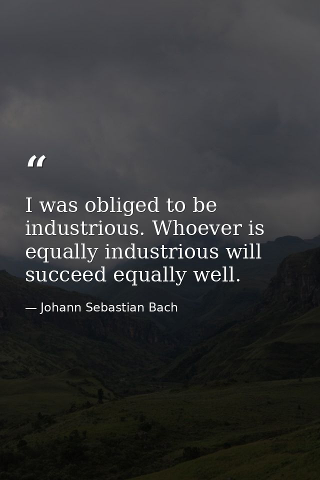 I was obliged to be industrious. Whoever is equally industrious will succeed equally well. — Johann Sebastian Bach