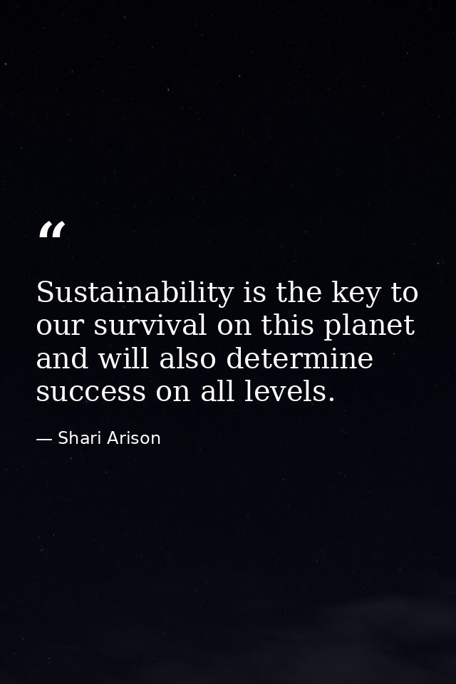 Sustainability is the key to our survival on this planet and will also determine success on all levels. — Shari Arison